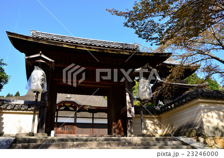 三井寺　四脚門（2016.4） 23246000