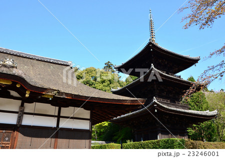 三井寺　灌頂堂・三重塔（2016.4） 23246001