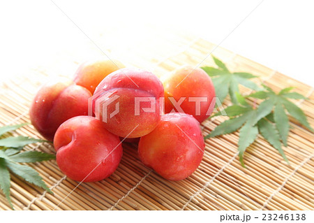 プラム　すもも　お中元イメージ 23246138