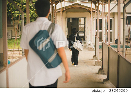 School life School life 23246299