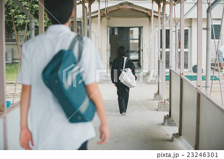School life  23246301