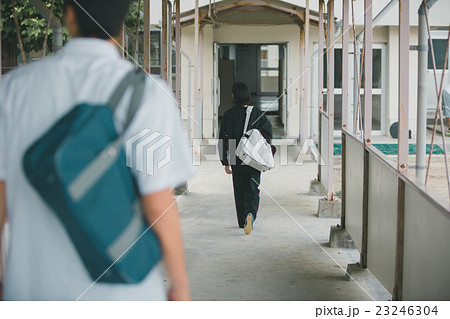 School life School life 23246304