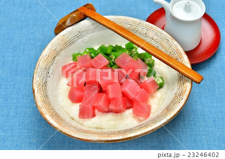 夏ネバネバスタミナ料理、鮪(マグロ)の山かけ、トロロ、オクラ。 夏ネバネバスタミナ料理、鮪(マグロ)の山かけ、トロロ、オクラ。 23246402