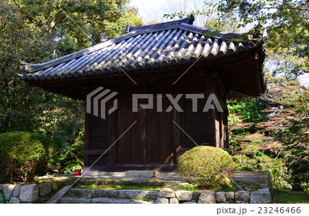 三井寺　教待堂（2016.4） 23246466