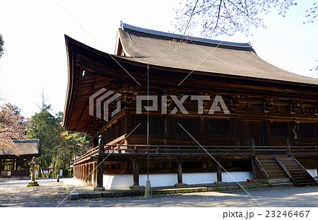 三井寺　金堂（2016.4） 23246467