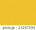 ビールの中身 23247293