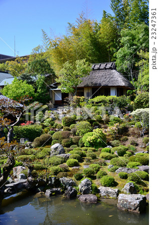 等持院 清漣亭と芙蓉池(2016.4) 等持院 清漣亭と芙蓉池(2016.4) 23247361
