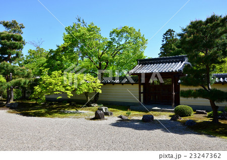 等持院 日本庭園(2016.4) 等持院 日本庭園(2016.4) 23247362