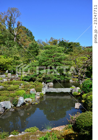 等持院　芙蓉池（2016.4） 23247711