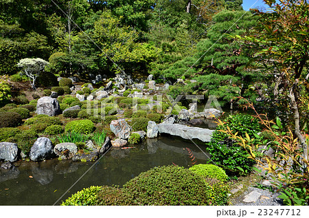 等持院　芙蓉池（2016.4） 23247712