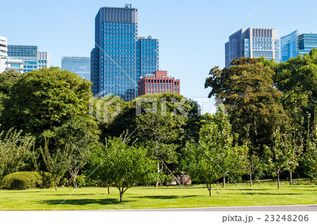 Imperial Palace East Gardens in Tokyo, Japan Imperial Palace East Gardens in Tokyo, Japan 23248206