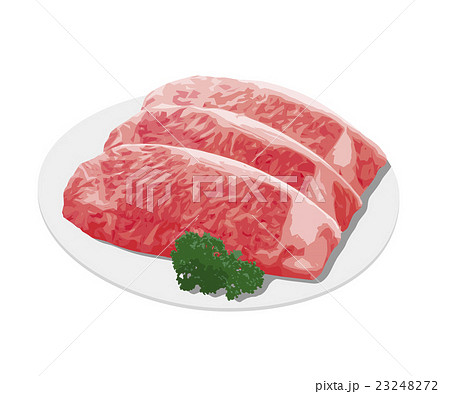 サーロインステーキ 生肉のイラスト素材