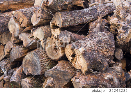 Pile of wood Pile of wood 23248283