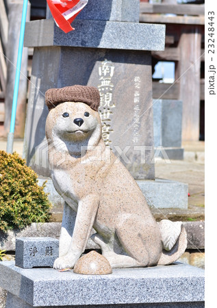 板橋不動尊 23248443