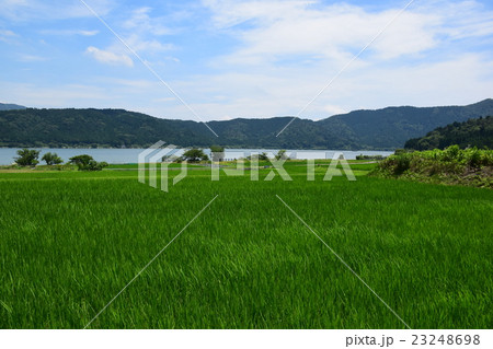 夏の余呉湖 夏の余呉湖 23248698