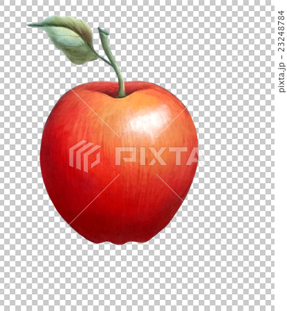 Apple Apple 23248784