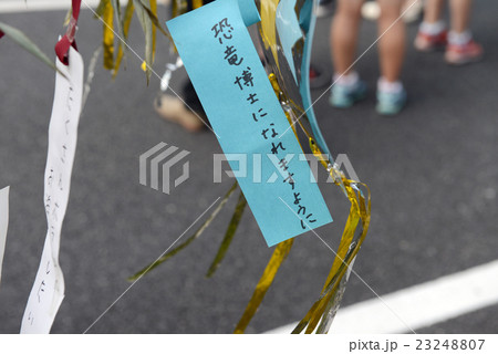 七夕の短冊 23248807