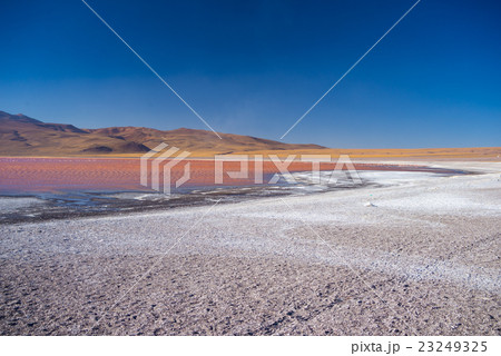 Multicolored Salt Lake with flamingos on the Andes Multicolored Salt Lake with flamingos on the Andes 23249325