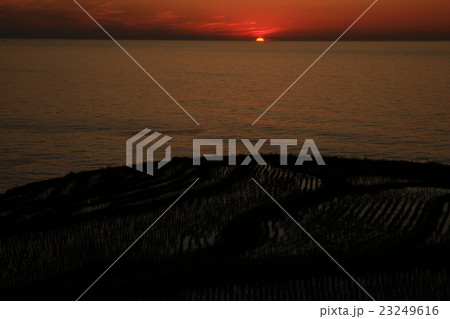 白米千枚田の夕日 白米千枚田の夕日 23249616