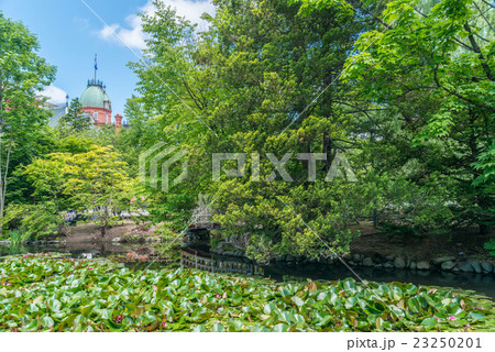 旧赤レンガ庁舎 23250201