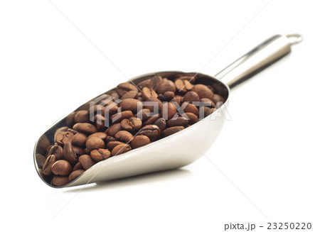 coffee beans isolated on white 23250220