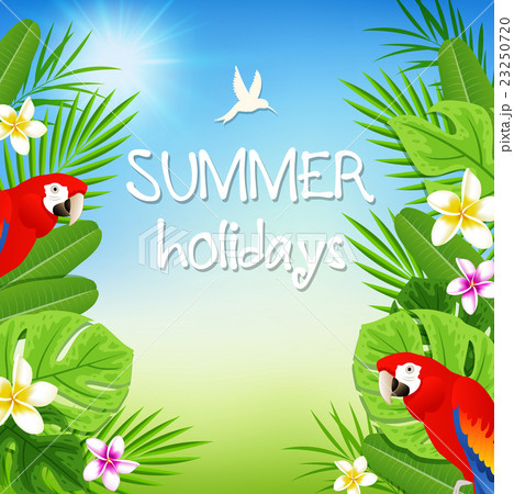 Tropical leaves and red parrots 23250720
