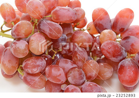 おいしいオーストラリア産のぶどう 23252893