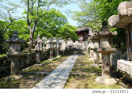 滋賀　三井寺　唐院前参道 23253021