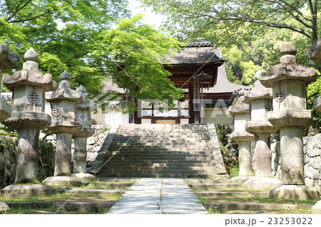 滋賀　三井寺　唐院前参道 23253022