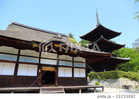 滋賀　三井寺　灌頂堂と三重塔 23253092