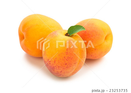 Fresh rpie apricots. Fresh rpie apricots. 23253735