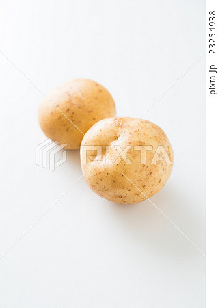 じゃがいも　男爵芋　白バック 23254938