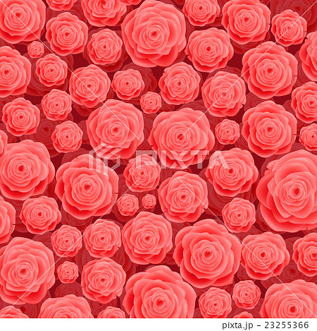 Beautiful Blooming Rose Flowers on Pink Background Beautiful Blooming Rose Flowers on Pink Background 23255366