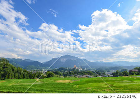 寺坂棚田と武甲山 23256146