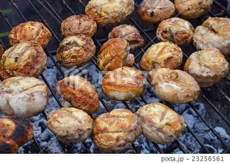 White champignons mushrooms on grill White champignons mushrooms on grill 23256561