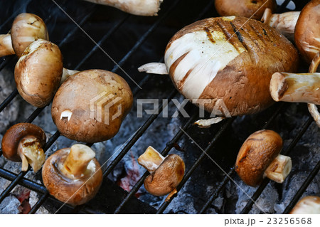 Brown champignons mushrooms on grill Brown champignons mushrooms on grill 23256568