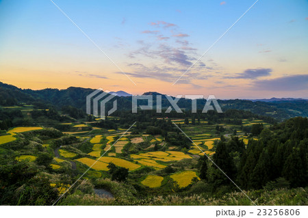 夕焼けの星峠の棚田 23256806
