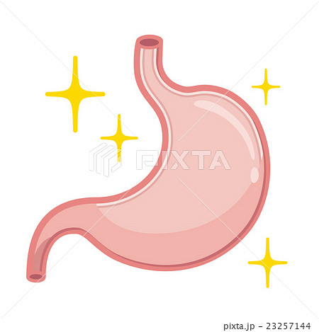 胃 イラストのイラスト素材