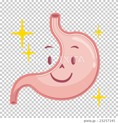 Stomach illustration 23257145