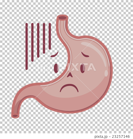 Stomach illustration 23257146