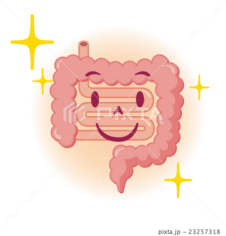 腸 イラスト 腸 イラスト 23257318