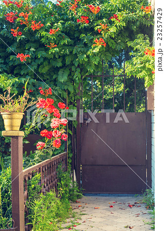 Garden gate 23257429