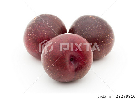 プラムコット(品種:イーグル・エッグ): Plumcot (cv. Eagle Egg) プラムコット(品種:イーグル・エッグ): Plumcot (cv. Eagle Egg) 23259816