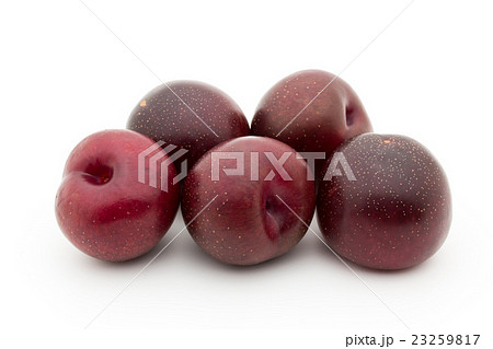 プラムコット(品種:イーグル・エッグ): Plumcot (cv. Eagle Egg) プラムコット(品種:イーグル・エッグ): Plumcot (cv. Eagle Egg) 23259817