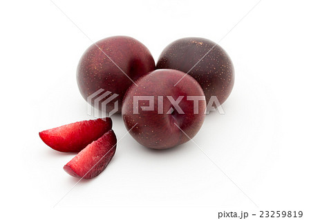 プラムコット(品種:イーグル・エッグ): Plumcot (cv. Eagle Egg) プラムコット(品種:イーグル・エッグ): Plumcot (cv. Eagle Egg) 23259819
