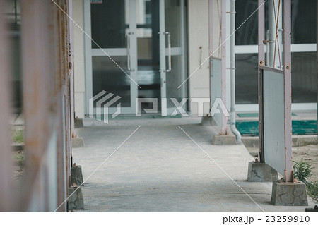 School life School life 23259910