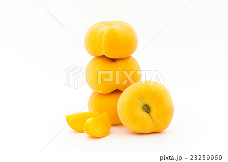 ピーチ・パイ・ドーナツ・ピーチ:Peach Pie Donut peach 23259969