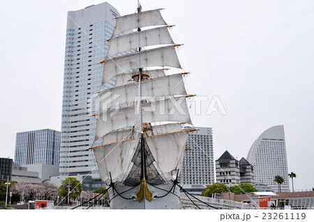総帆展帆した日本丸 総帆展帆した日本丸 23261119