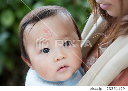 10 months old 23261199