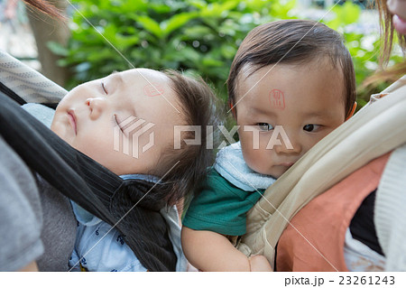 10 months old & 6 months old 10 months old & 6 months old 23261243